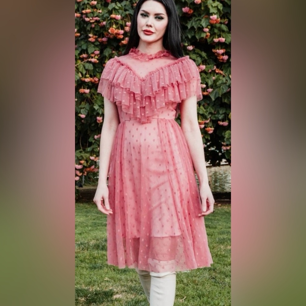 Wax Poetic Retro  Dusty Rose Mesh Dolly Dress, Sz XL